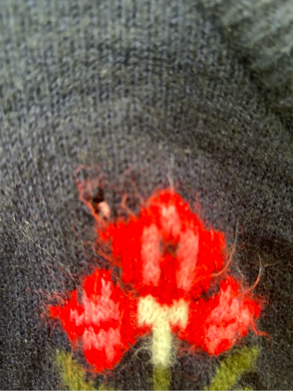 Free People Navy Floral Knit Button-Front Cardigan with Red Accents - Picture 5 of 9